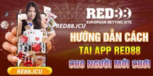 Tải Red88 - 3 bước cơ bản dành cho người mới tham gia